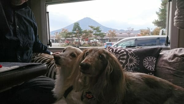 車の窓から富士山